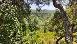 MAGNÍFICA PARCELA en Llagostera